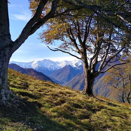 Skycircuitvilla - 4 Star With 8 Bedrooms, Pool And 3000m2 Grounds *