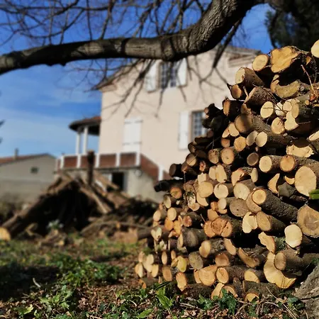 Skycircuitvilla - 4 Star With 8 Bedrooms, Pool And 3000m2 Grounds 빌라